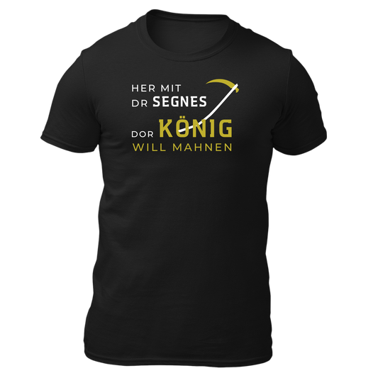 Her mit dr Segnes - Unisex Shirt Premium